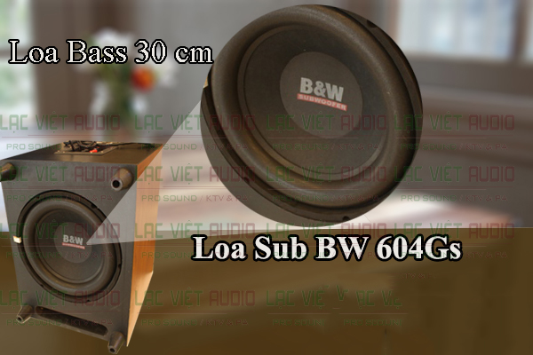 Loa Bass 30 cm cho âm thanh chân thực
