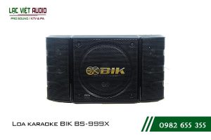 Giới thiệu về sản phẩm Loa BIK BS 999X