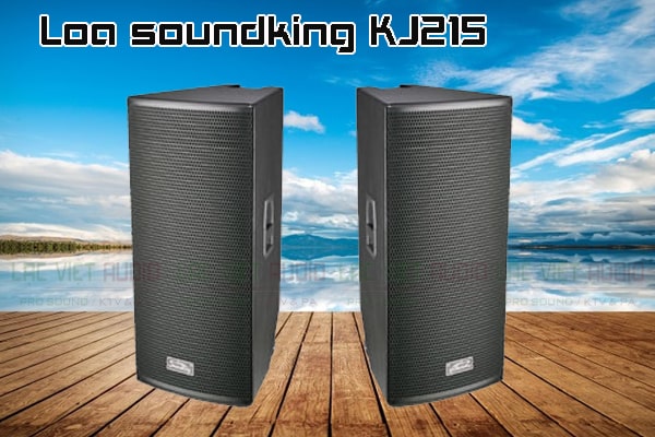 Thiết kế bên ngoài của sản phẩm Loa soundking KJ215 