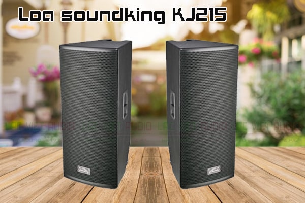 Tính năng nổi bật của sản phẩm Loa soundking KJ215 