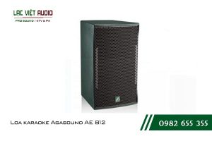 Giới thiệu về sản phẩm Loa karaoke Agasound AE 812 