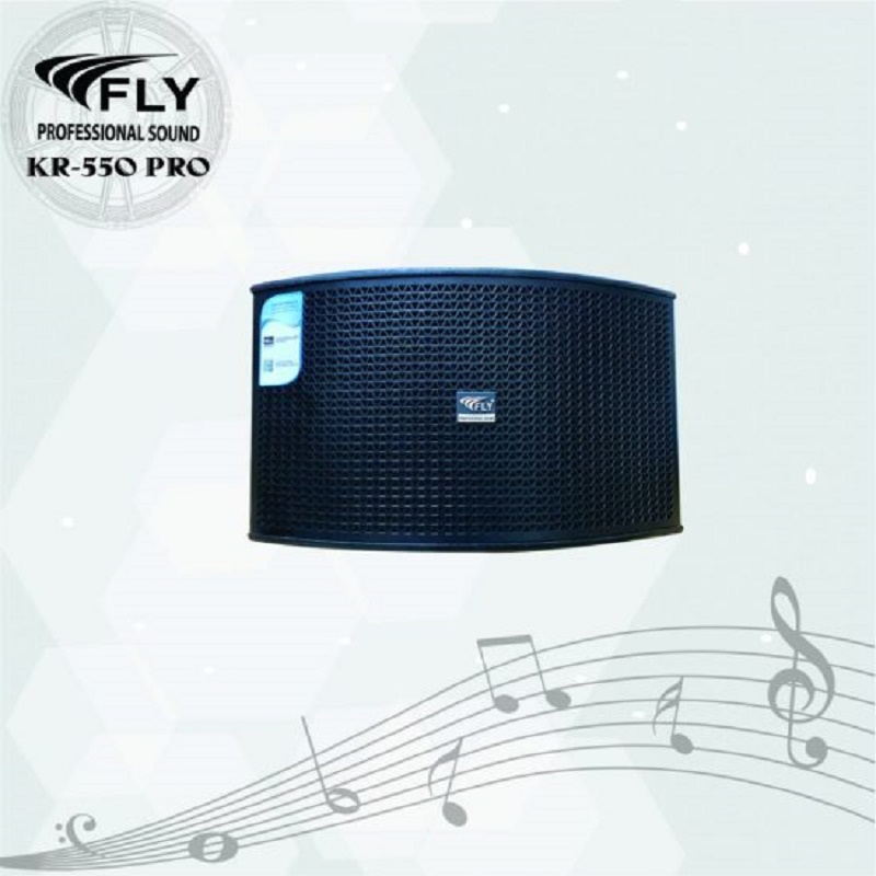 Loa karaoke Fly KR550