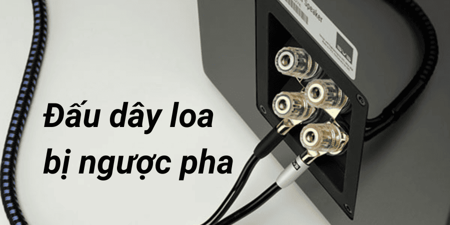 Đấu dây loa cao cấp bị ngược pha