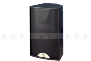 Loa hội trường Martin F12 loại 1