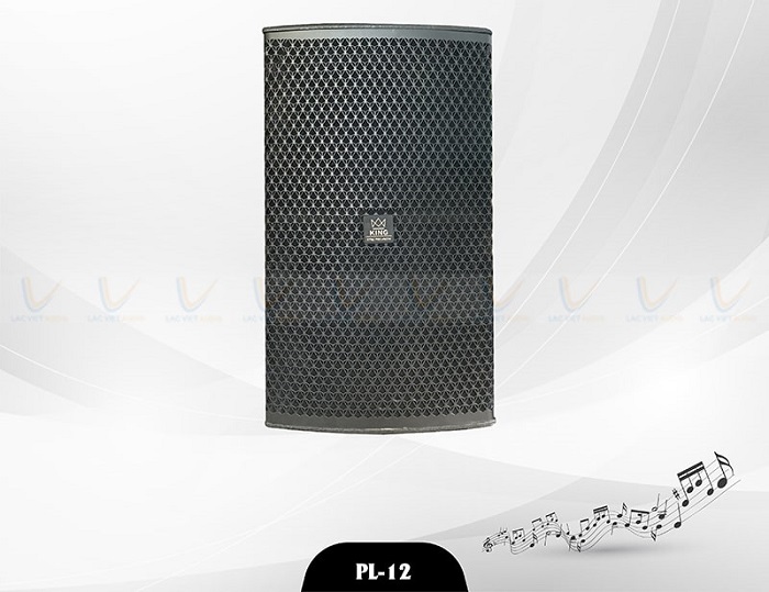 Loa karaoke PL-12 có nhiều tính năng nổi bật