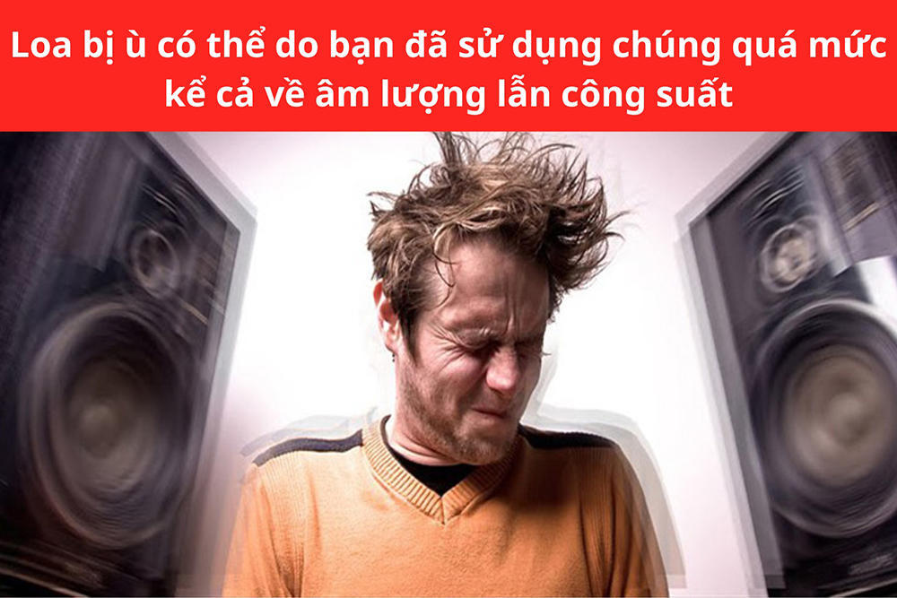 Loa bị ù có thể do bạn đã sử dụng chúng quá mức kể cả về âm lượng lẫn công suất
