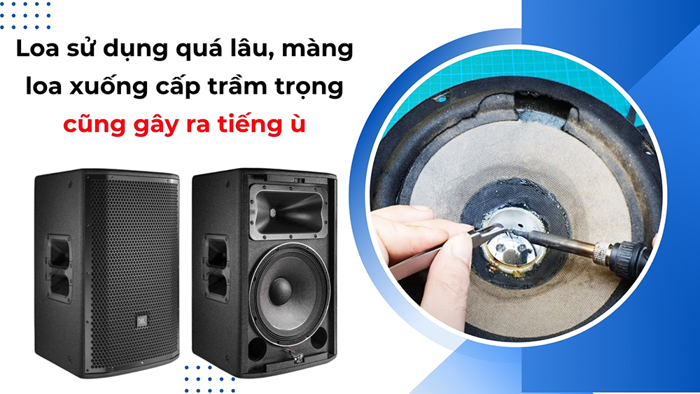 Loa sử dụng quá lâu, màng loa xuống cấp trầm trọng cũng gây ra tiếng ù