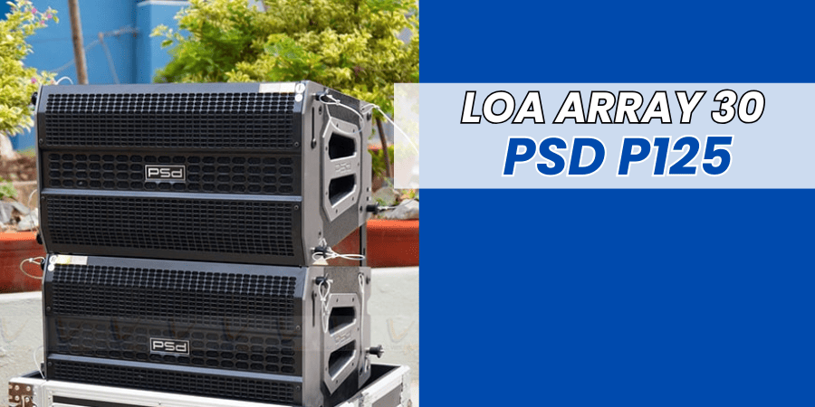 Loa array PSD 30 đơn P125 Loa array PSD 30 đơn P125