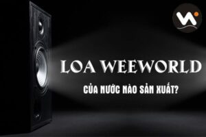 Loa Weeworld của nước nào sản xuất? Nguồn gốc xuất xứ thương hiệu