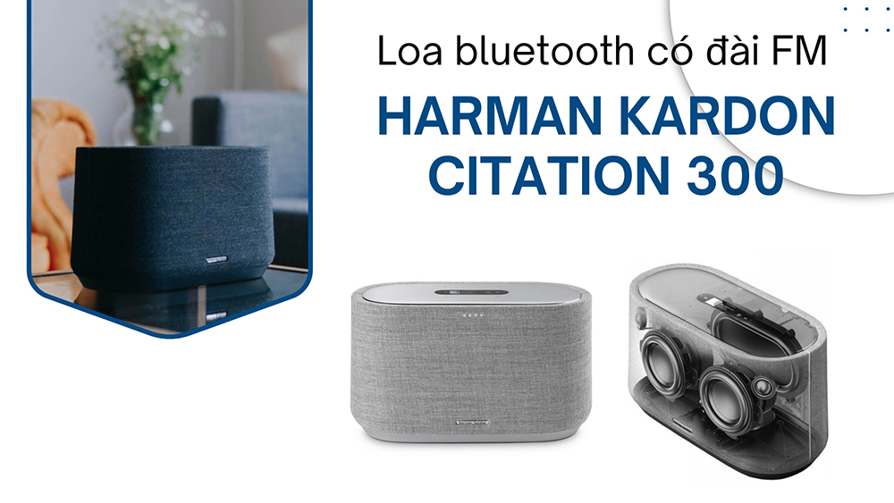 Loa bluetooth có FM Harman Kardon Citation 300: Giá 8.750.000 đồng