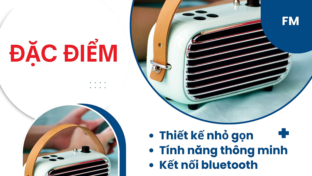 Loa bluetooth FM thường có thiết kế nhỏ gọn, nhiều tính năng thông minh như bluetooth, căn chỉnh âm thanh