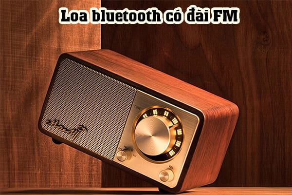 [Top 10] Loa bluetooth có đài FM được tin dùng nhất hiện nay