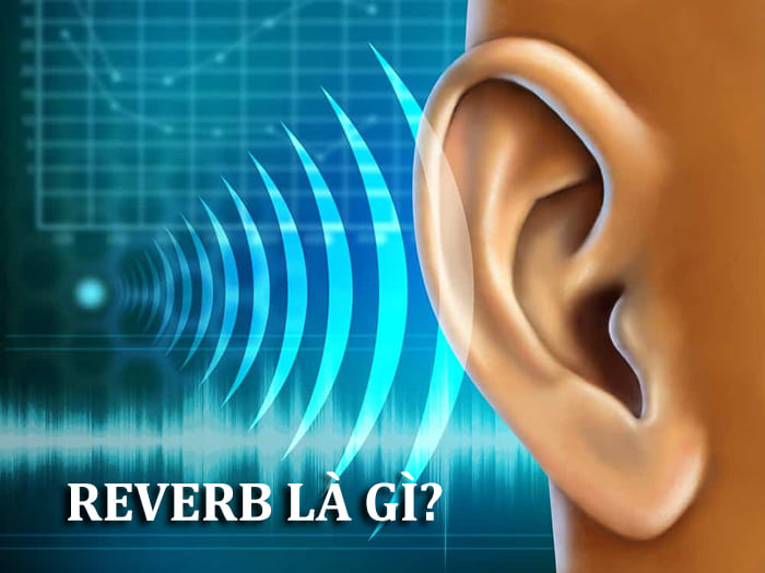 Reverb trong âm thanh là gì? Reverb trong âm thanh là gì?