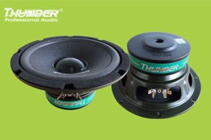 Loa Thunder của nước nào? Chất lượng tốt không, liệu có nên dùng
