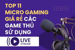 Top 11 Micro gaming giá rẻ mà các game thủ thường sử dụng
