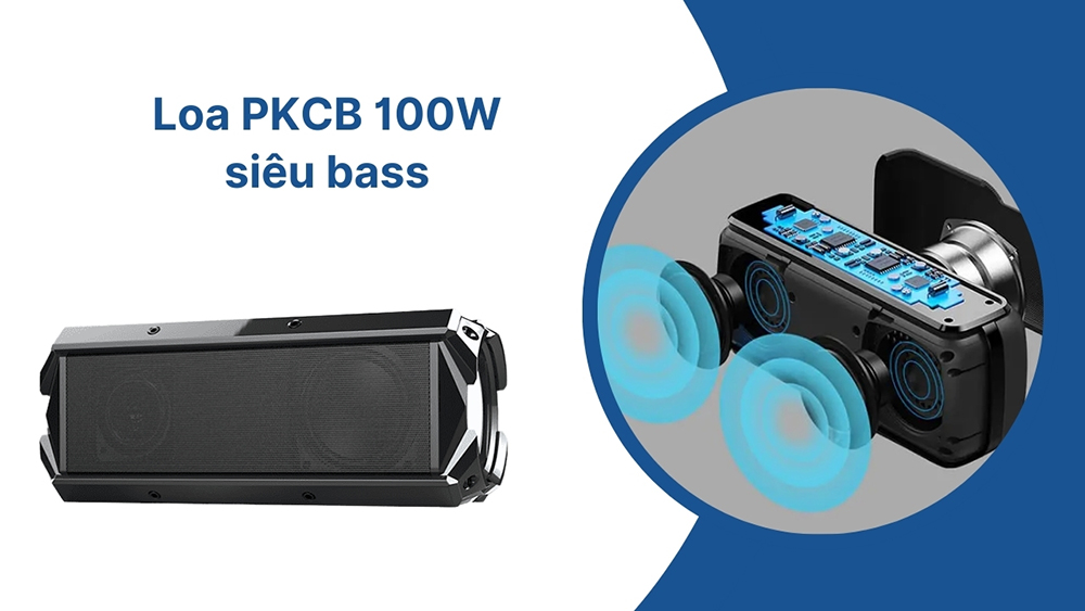 Loa PKCB 100W siêu bass Loa PKCB 100W siêu bass