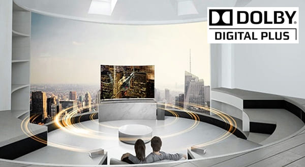 Dolby Surround - định dạng âm thanh vòm được phát triển bởi Dolby Laboratories