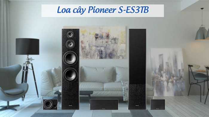 Loa cây Pioneer S-ES3TB có thể dùng để giải trí, nghe nhạc, xem phim