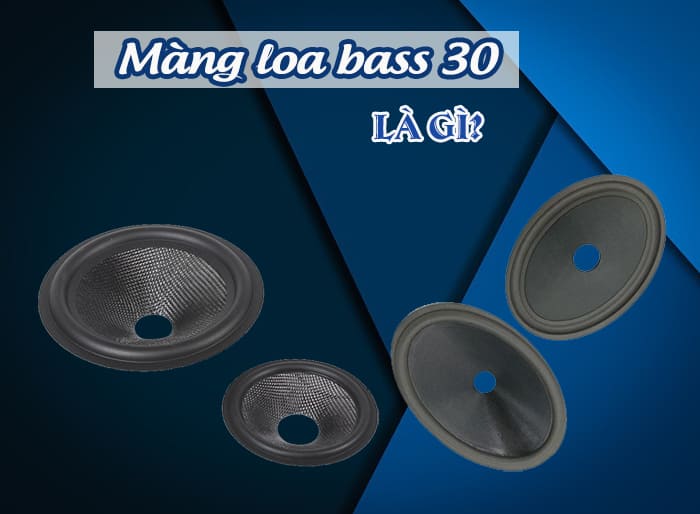 Màng loa bass 30 thường được sử dụng cho các dải trung - trầm