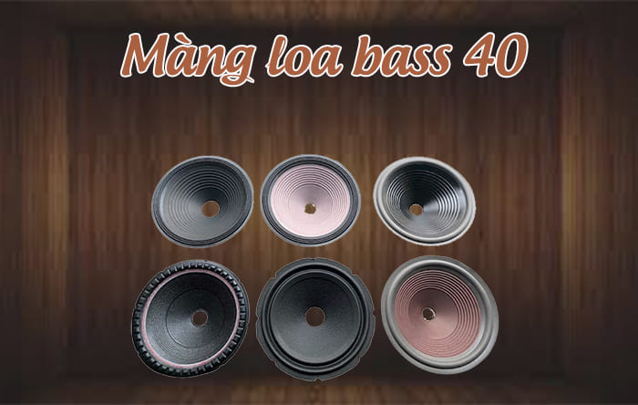 Màng loa bass 40 thường dùng tái tạo các dải âm thanh trầm