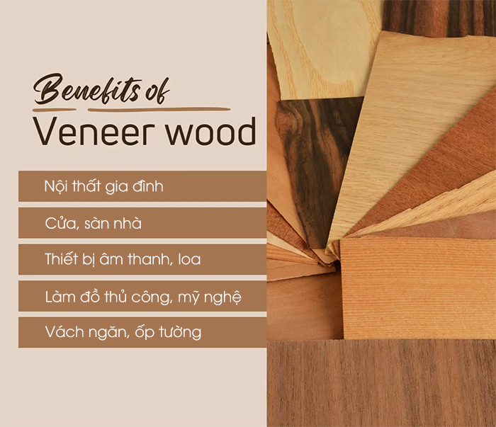 Gỗ veneer được ứng dụng trong các thiết bị, nội thất, âm thanh, nhạc cụ