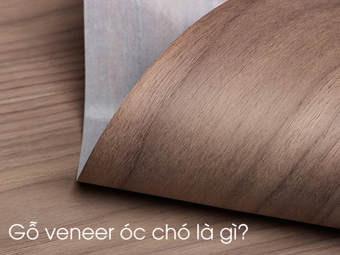Gỗ veneer óc chó là gì?