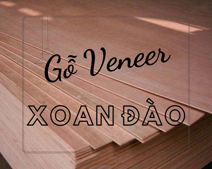 Gỗ veneer xoan đào là gì?
