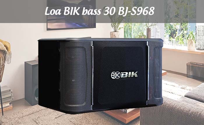 Loa BIK bass 30 BJ-S968: 11.490.000 VNĐ