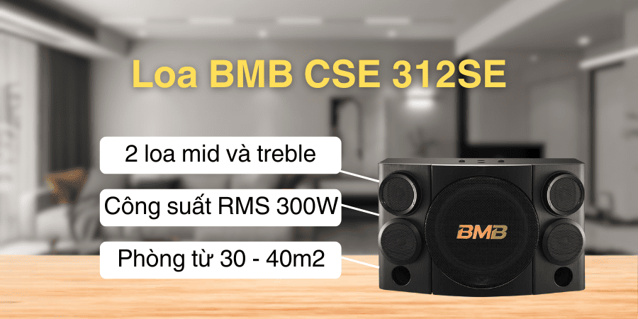 Loa BMB bass 30 CSE 312SE: 25.000.000 đồng