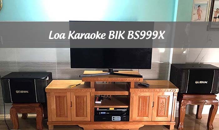 Loa Karaoke BIK BS999X có cấu tạo âm thanh 5 loa 2 đường tiếng