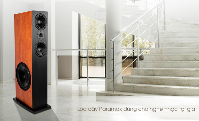 Loa cây Paramax bass 30 thường dùng cho hệ thống nghe nhạc gia đình