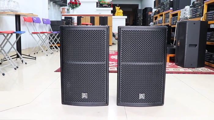 Loa B3 bãi bass 25 X10i: 6.990.000 đồng
