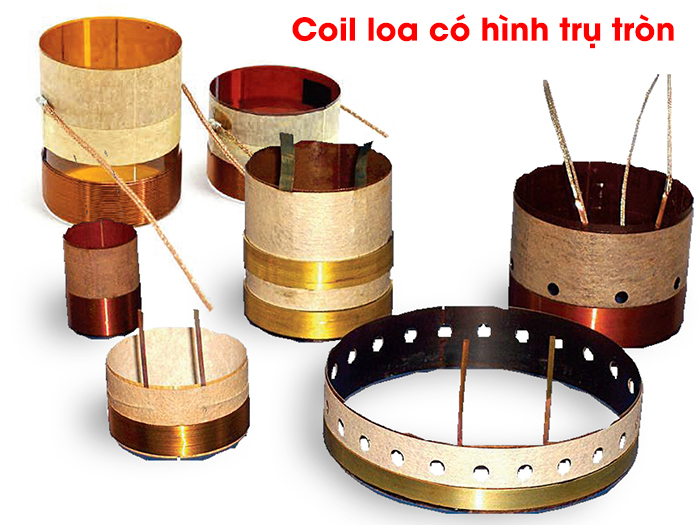 Hình dáng đặc trưng của côn loa là trụ tròn đứng