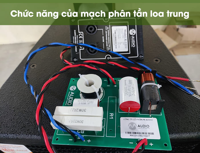 Mạch phân tần loa mid có vai trò gì?