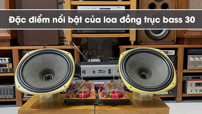 Cho chất lượng âm thanh chi tiết, sống động và chân thực