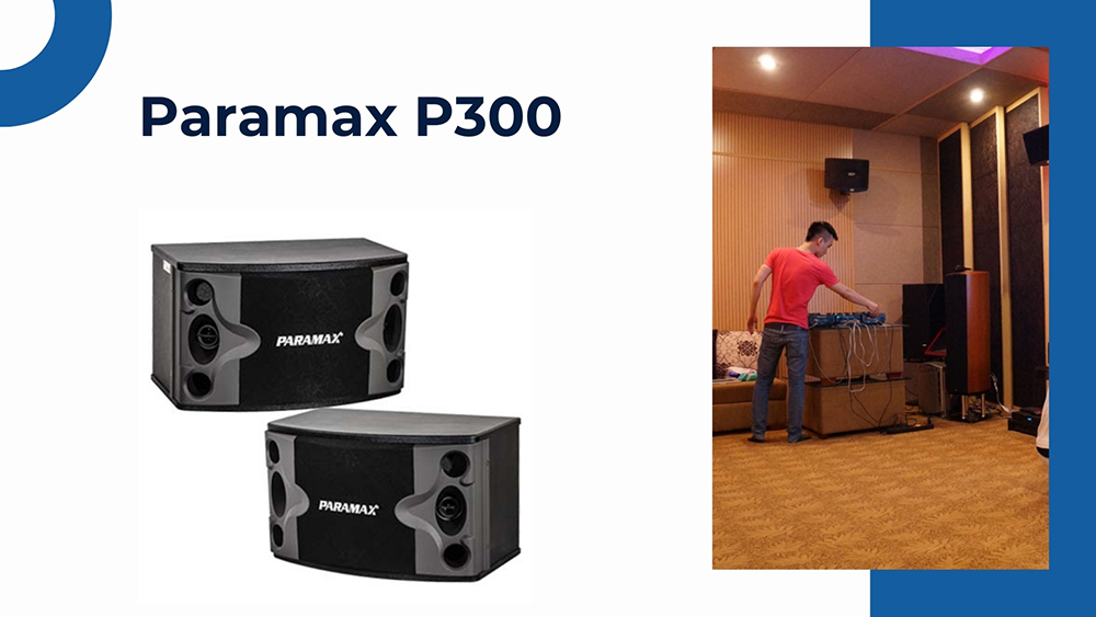 Loa Paramax P300 bass 20: 1.800.000 VNĐ Loa Paramax P300 bass 20: 1.800.000 VNĐ