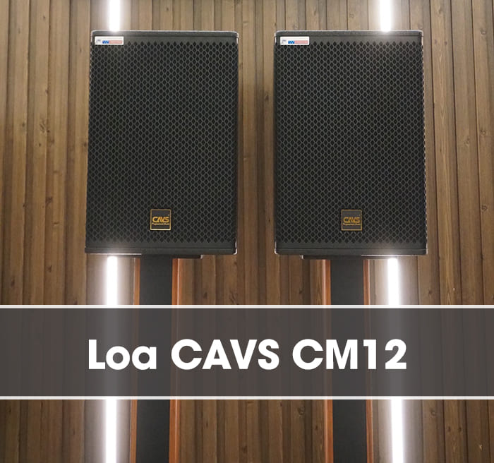 Loa đồng trục CAVS CM12 mang 2 loa 2 đường tiếng