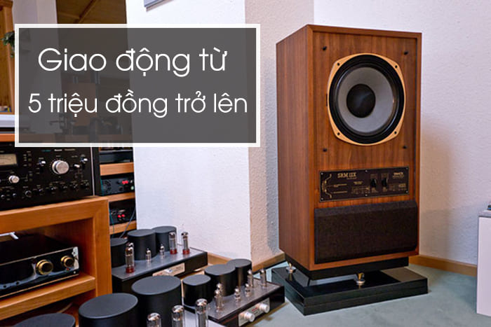 Loa đồng trục bass 30 có giá thành hợp lý