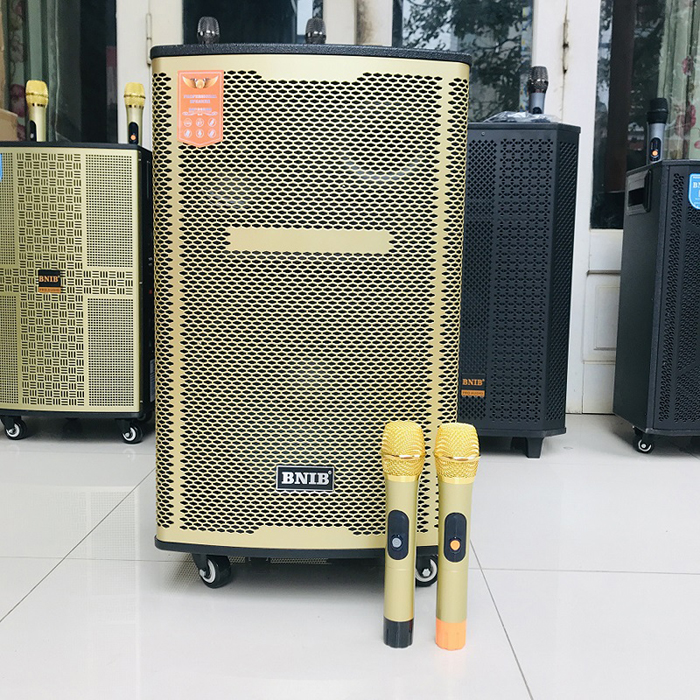Loa Bnib bass 30 1205A: 3.500.000 đồng