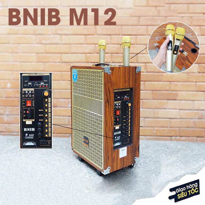 Loa Bnib bass 30 M12 giá rẻ: 2.850.000 đồng