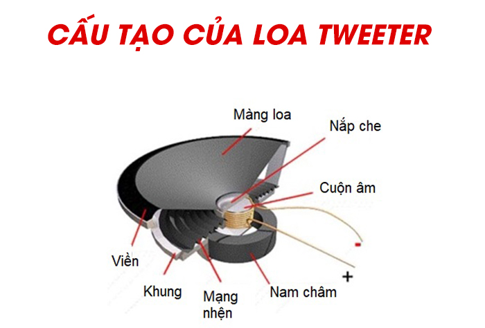 Cấu tạo của loa tweeter khá giống với loa bass thông thường nhưng kích thước nhỏ hơn