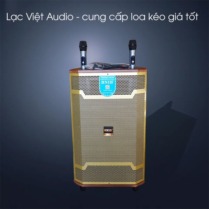 Lạc Việt Audio - đơn vị cung cấp loa kéo giá tốt