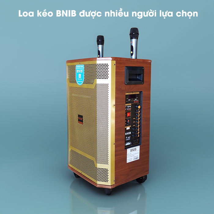 Loa kéo Bnib bass 30 chất lượng, được nhiều người lựa chọn