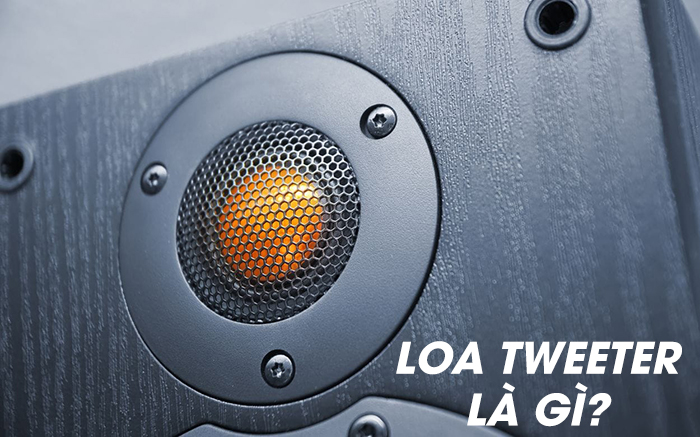 Loa tweeter là gì? Là loa tái tạo các dải âm có tần số cao