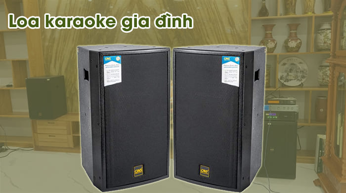 Loa karaoke cho gia đình