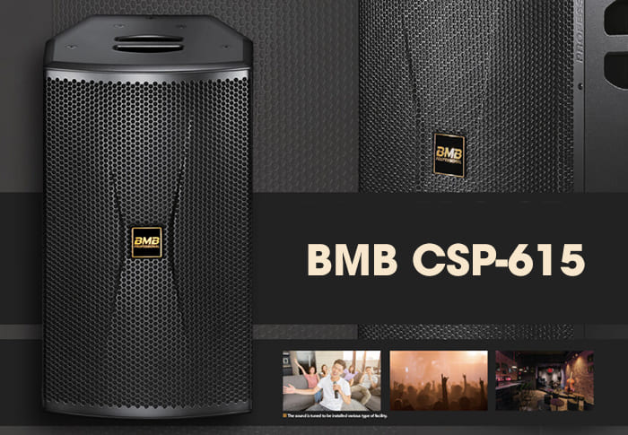 Loa BMB bass 40 CSP-615: 33.000.000 đồng