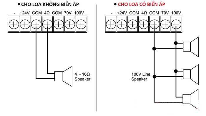 Cách đấu loa phóng thanh với amply