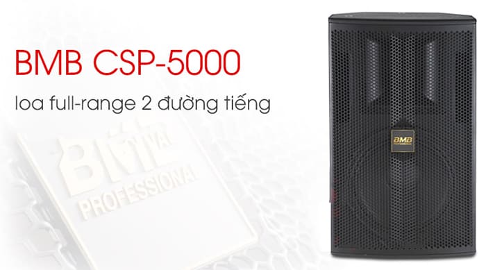 Loa BMB Trung Quốc xịn 5000C: 25.000.000 đồng
