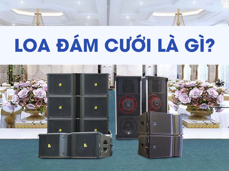 Loa đám cưới là mảnh ghép quan trọng trong hệ thống phục vụ đám cưới Loa đám cưới là mảnh ghép quan trọng trong hệ thống phục vụ đám cưới