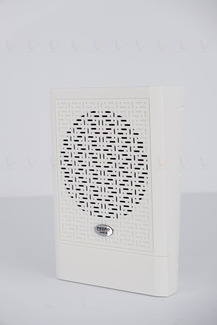 Loa Pedro DU6-10GR có mức công suất vừa phải Loa Pedro DU6-10GR có mức công suất vừa phải